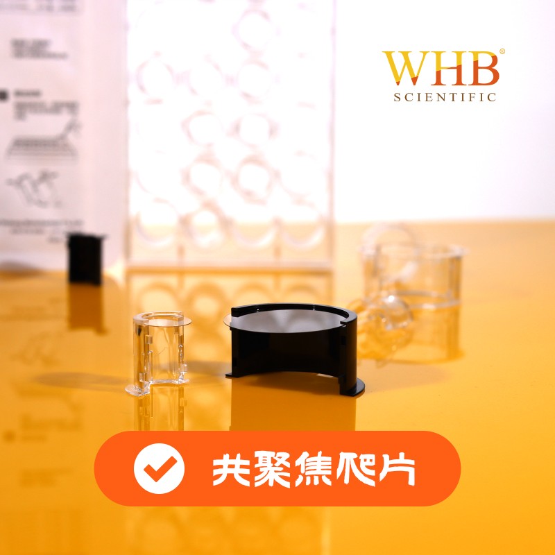 共聚焦爬片