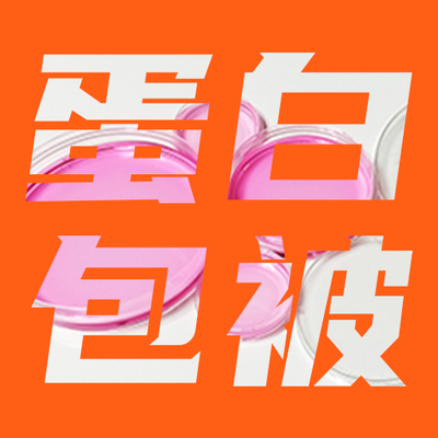 多聚赖氨酸包被