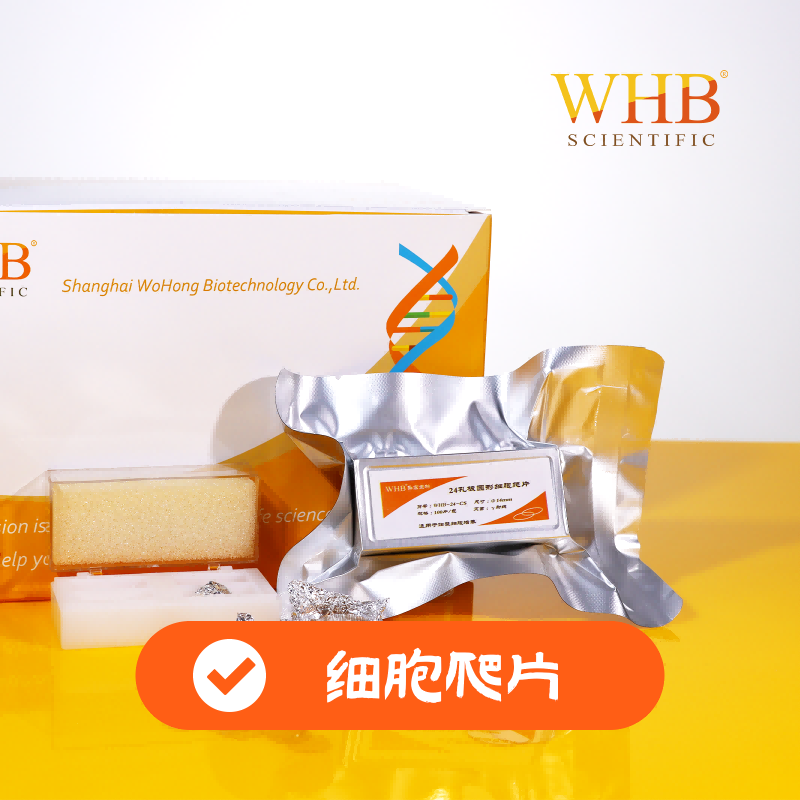 多聚赖氨酸细胞爬片