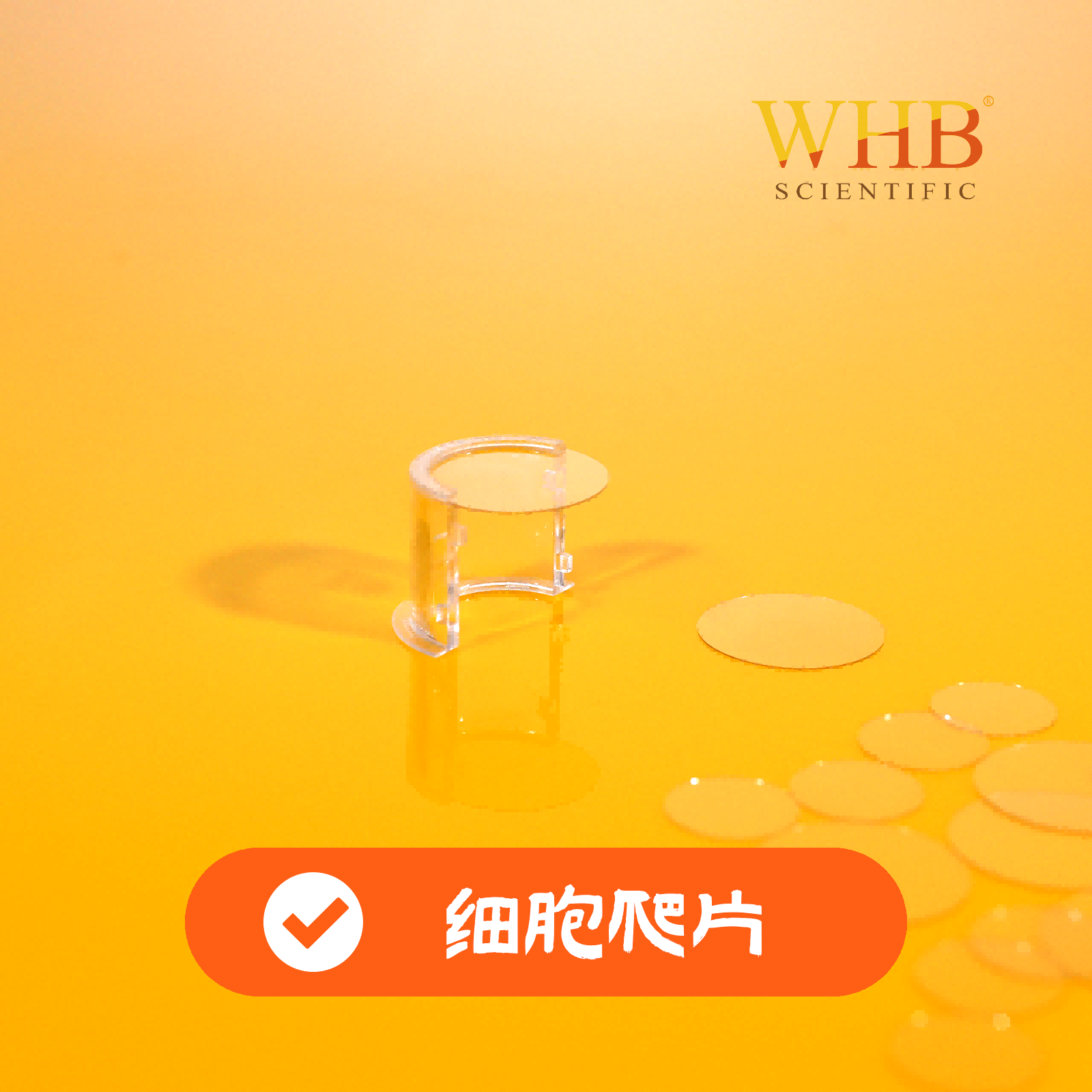 圆形细胞爬片 