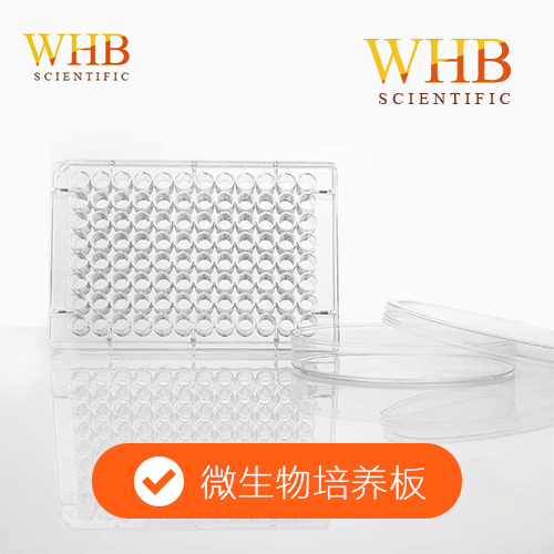 微生物培养板 