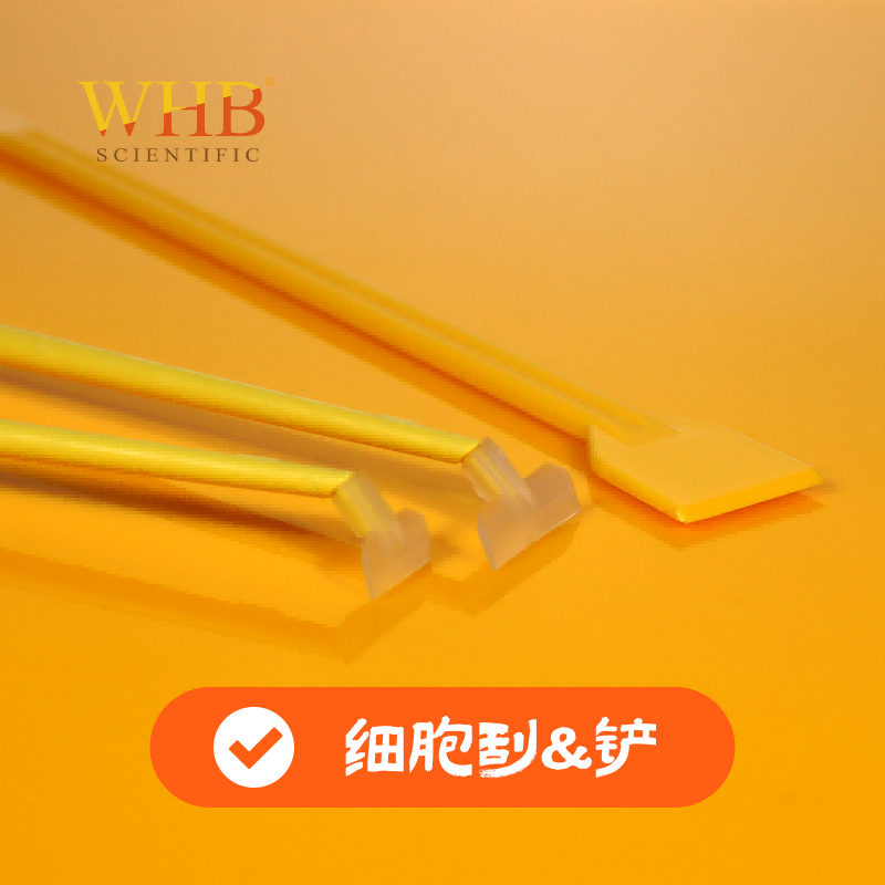 细胞刮刀  