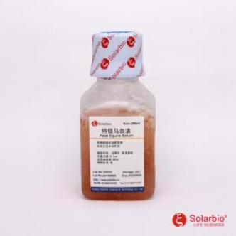 特级马血清