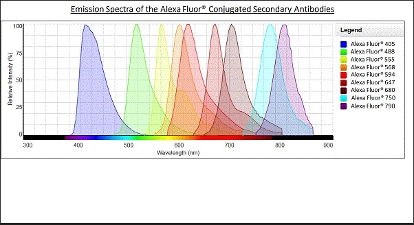 驴抗山羊IgG H&L (Alexa Fluor® 568) (ab175474)