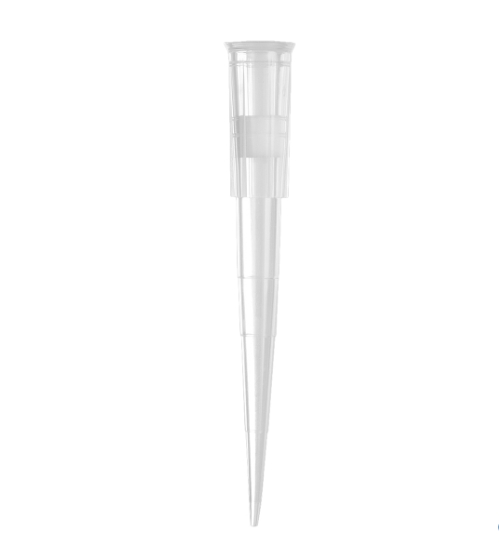 Axygen® 200 µL通用带滤芯吸头，透明，盒装，96个吸头/盒，10盒/包，5包/箱