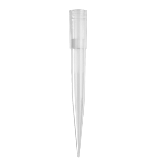 Axygen® 1000 µL通用带滤芯吸头，透明，无菌，盒装，100个吸头/盒，10盒/包，5包/箱