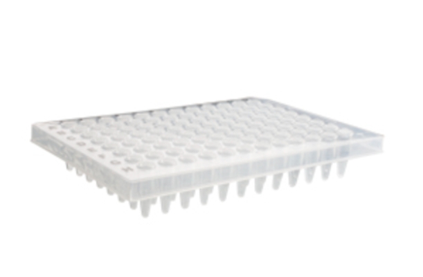 Axygen® 96孔聚丙烯PCR微孔板，半裙边，透明，非灭菌