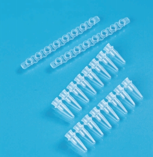PCR 八联排管